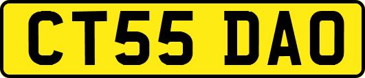 CT55DAO