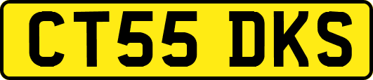 CT55DKS