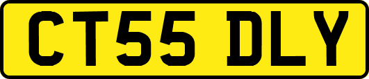 CT55DLY