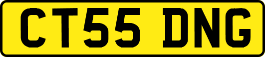 CT55DNG