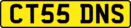CT55DNS