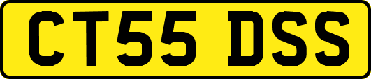 CT55DSS