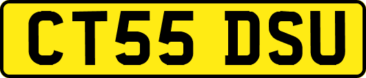 CT55DSU