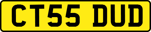 CT55DUD