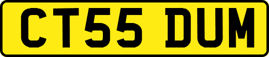 CT55DUM