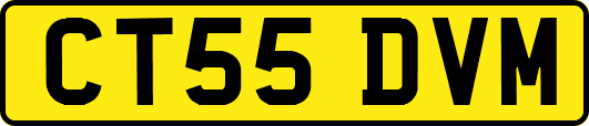CT55DVM