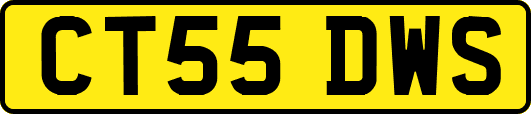 CT55DWS