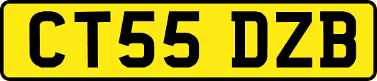 CT55DZB