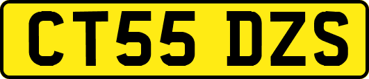 CT55DZS