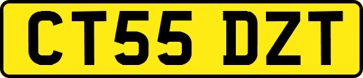 CT55DZT