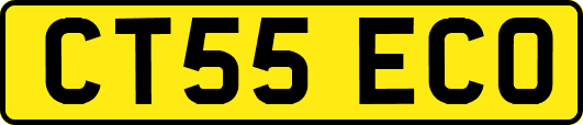 CT55ECO