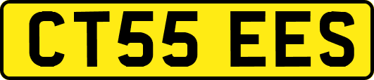 CT55EES