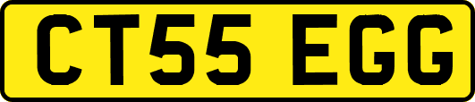 CT55EGG