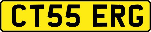 CT55ERG