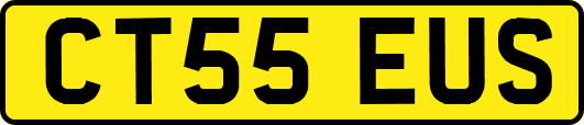 CT55EUS