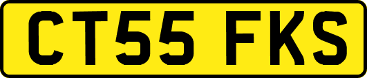 CT55FKS