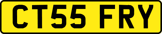 CT55FRY