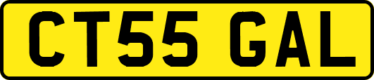 CT55GAL