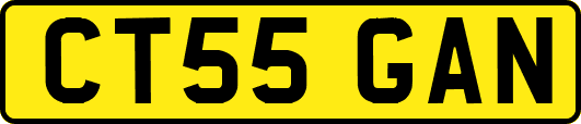 CT55GAN