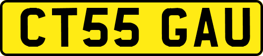 CT55GAU