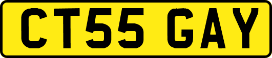CT55GAY
