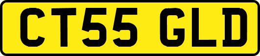 CT55GLD