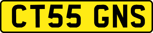CT55GNS
