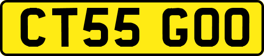 CT55GOO