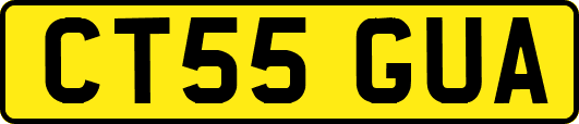 CT55GUA