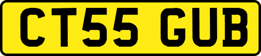CT55GUB