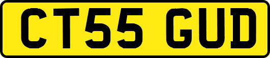 CT55GUD