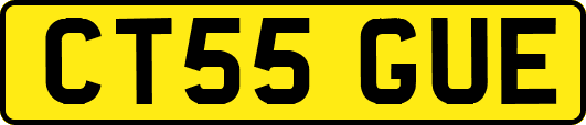 CT55GUE