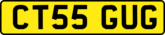 CT55GUG