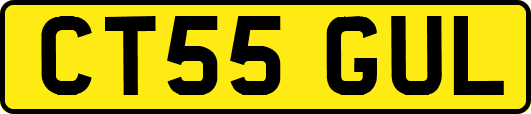 CT55GUL