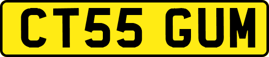 CT55GUM