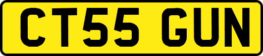 CT55GUN