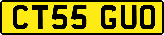 CT55GUO