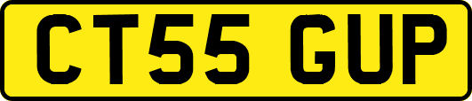 CT55GUP