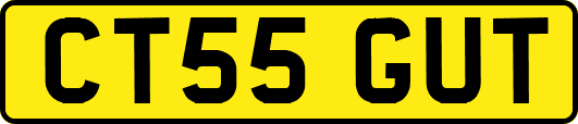 CT55GUT
