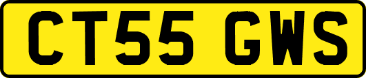 CT55GWS