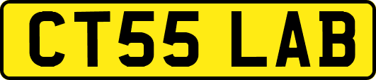 CT55LAB