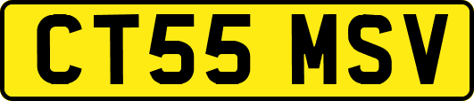 CT55MSV