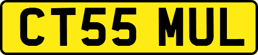 CT55MUL