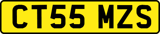 CT55MZS