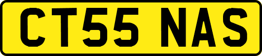 CT55NAS