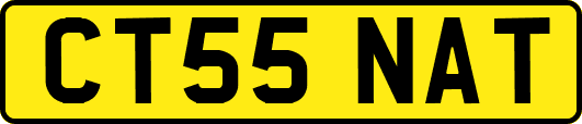 CT55NAT
