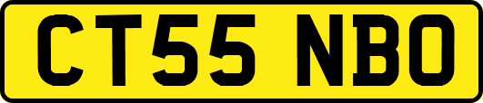 CT55NBO