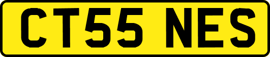 CT55NES