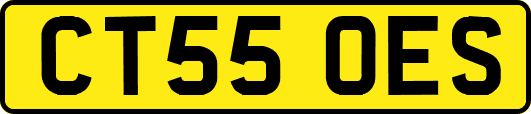 CT55OES