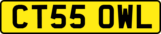 CT55OWL